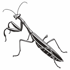 Walking Stick Insect vector silhouette black design white background