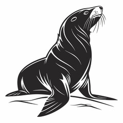 Weddell Seal vector silhouette black design white background