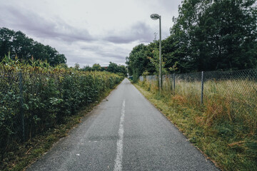 A pedestrian pathway in the countryside, surrounded by tall corn stalks