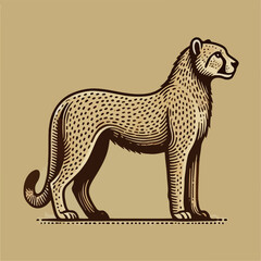 animal vector, illustration of tiger, tiger