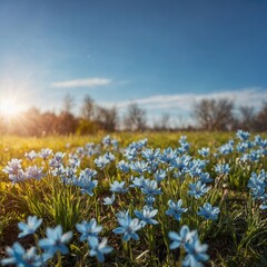 Obraz premium A fresh spring blue sunny sky background with blurred warm sunny glow.