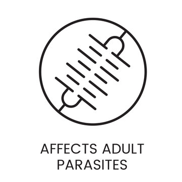 A vector linear icon of a circle with a parasite silhouette and lines crossing it, representing the effect on adult parasites with an editable stroke