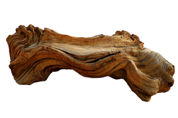 Curved dry wood from the desert isolated on transparency photo png file