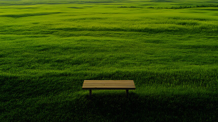 Tranquil Solitude: Wooden Bench Amidst Verdant Sea of Lush Greenery