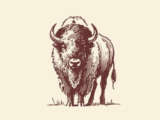 American Bison Hand Drawn Illustration Sketch Vector Isolated © Az to Design