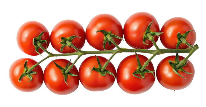 Bunch of fresh tomato top view isolated on white background png transparent clipart.