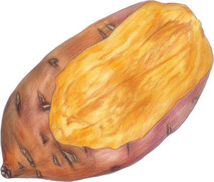 Illustration of baked sweet potatoe.