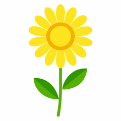 Daisy Flower vector art isolated on white