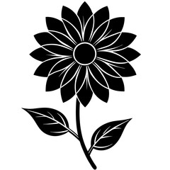 black and white flower isolated