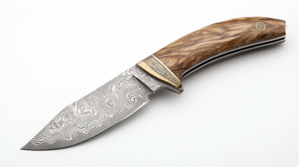 Exquisite damascus steel knife with wooden handle for culinary precision © Julia Jones