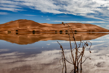 Merzouga sanddunes in the Erg Chebby desert in Morocco after heavy rainfall