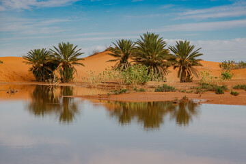 Merzouga sanddunes in the Erg Chebby desert in Morocco after heavy rainfall