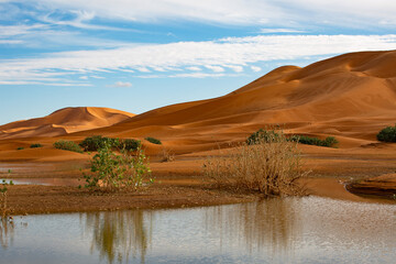 Merzouga sanddunes in the Erg Chebby desert in Morocco after heavy rainfall