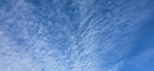 ciel bleu avec nuages blanc moutonneux 