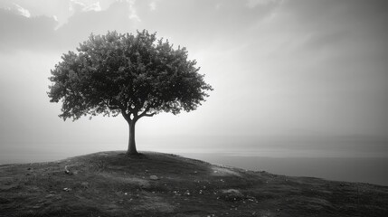 A tree is standing on a hill with a body of water in the background