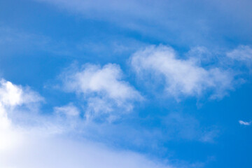 Urban bird photography @ Marquette Park Reserve in Chicago Illinois.