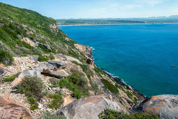 A view of a coastline with a group of seals sunbathing along a rocky coastline at Robberg nature reserve along the Garden route, Plettenberg Bay, Western Cape province, South Africa, Africa