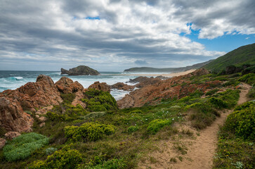 A rocky and majestic coastline with a pathway at Robberg nature reserve along the Garden route, Plettenberg Bay, Western Cape province, South Africa, Africa
