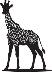 Obraz premium giraffe silhouette vector