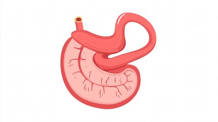 Fototapeta premium Professional Stomach Icon with Gastric Juice for Medical Illustration