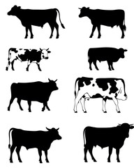 Fototapeta premium Cows Farm Life and Cows milk in Doodle Pop Art and Realism Styles for advertising