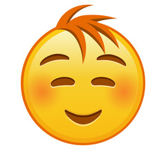 Embarrassed smiling face Large size of yellow emoji smile with hair