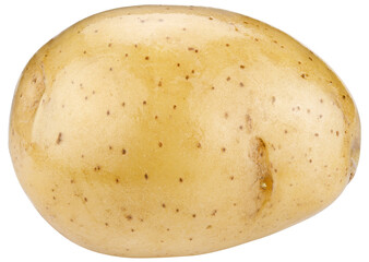 One young potato isolated on a transparent background. Completely in focus. Focus stacking.
