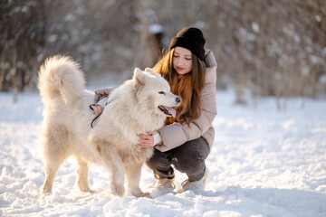 A girl walks with her beloved pet Samoyed in winter on the shore of a lake in the park.
