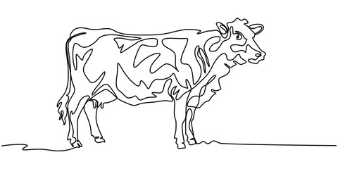 Continuous one line drawing dairy cow. Cattle. Dairy industry. Milk. Side view of a cow.One continuous line isolated minimal illustration, cow, bull, livestock, cattle, calf one line art. Continuous.