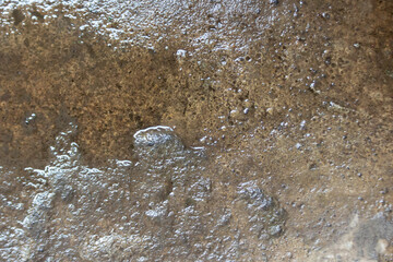 Puddle of Water on Rough Textured Concrete Floor