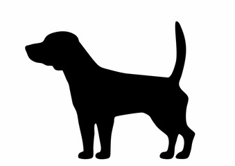 beagle, black silhouette of dog, vector icon, symbol 