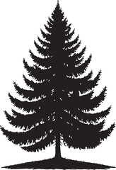 Pine tree silhouette