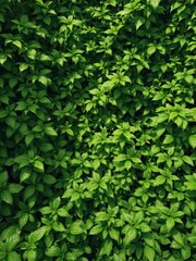 Obraz premium Lush green foliage forms a vibrant backdrop, flora, leafy, light green