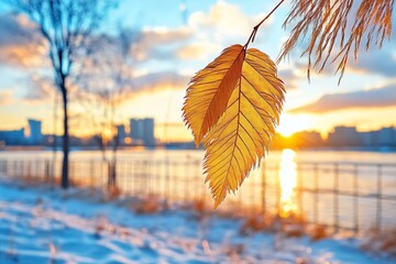 Obraz premium Fachadas de colores cálidos reflejando el atardecer sobre el paisaje invernal