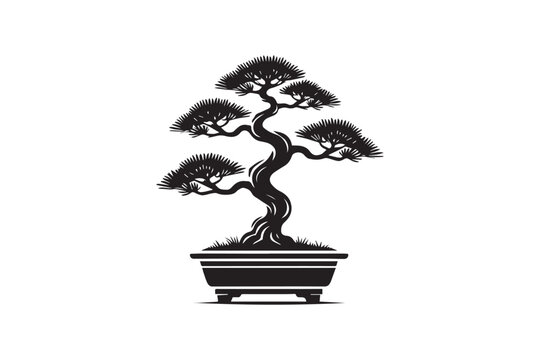 bambus phyllostachys Wuchernder Bambus Goldrohrbambus | kaufen