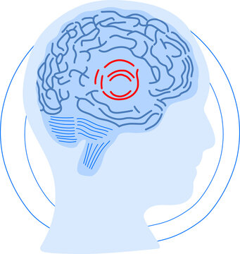Brain as computer system