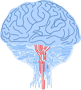 Brain as computer system