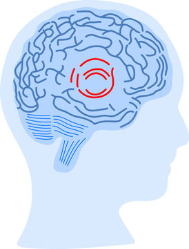 Brain as computer system