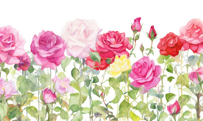 Fototapeta premium PNG Pink roses garden backgrounds blossom pattern.