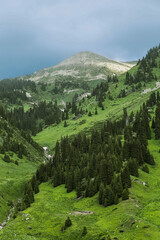 view of the mountains
