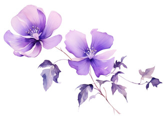 PNG Purple flower blossom petal plant.