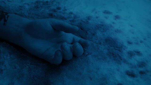 Dead Body On Snow Is Photographed By Police