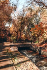 autumn in the park