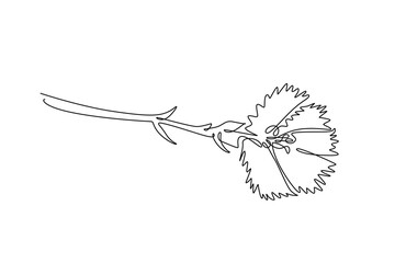Single one line drawing beauty fresh dianthus for home wall art decor poster print. Decorative sweet william flower concept for invitation card. Continuous line draw design graphic vector illustration