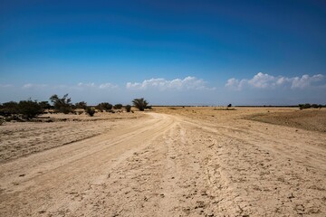 landscape at the Kusrawad desert in the Danakil depression at the Ethiopian Afar region