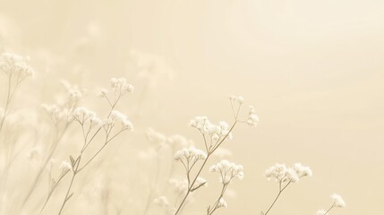 Flores blancas en fondo claro