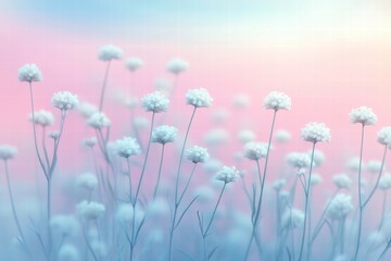 Pastel Dream Delicate White Flowers at Sunset