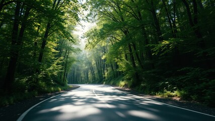 Obraz premium Serene Winding Road Through Lush Green Forest Canopy
