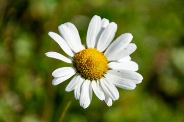 Obraz premium landscape in the mountains