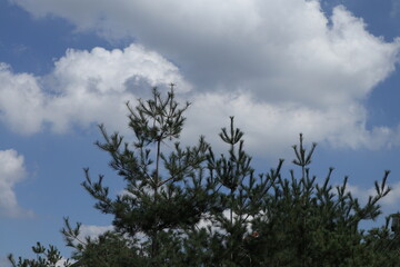 하늘, 구름, 맑음, sky, cloud, day, background, nature, weather